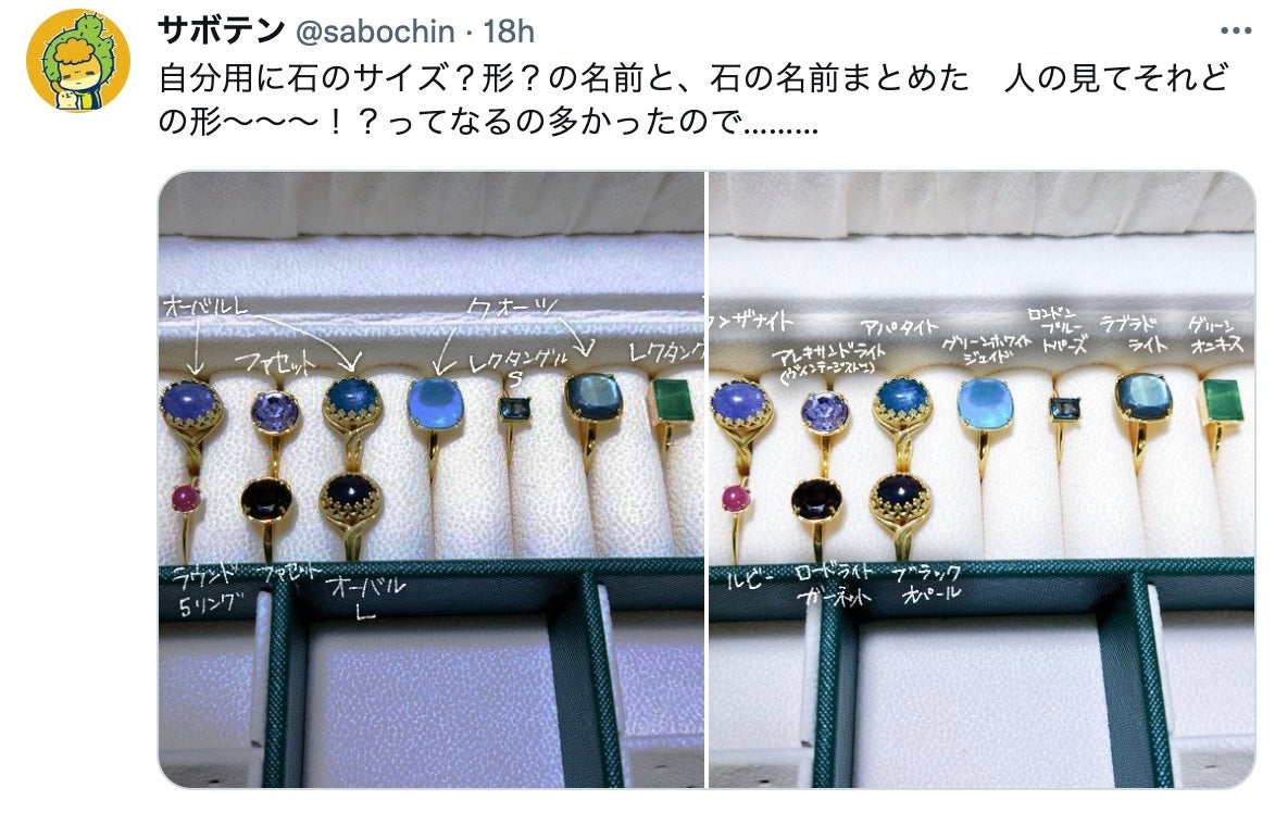 サボテンさんの宝箱探訪