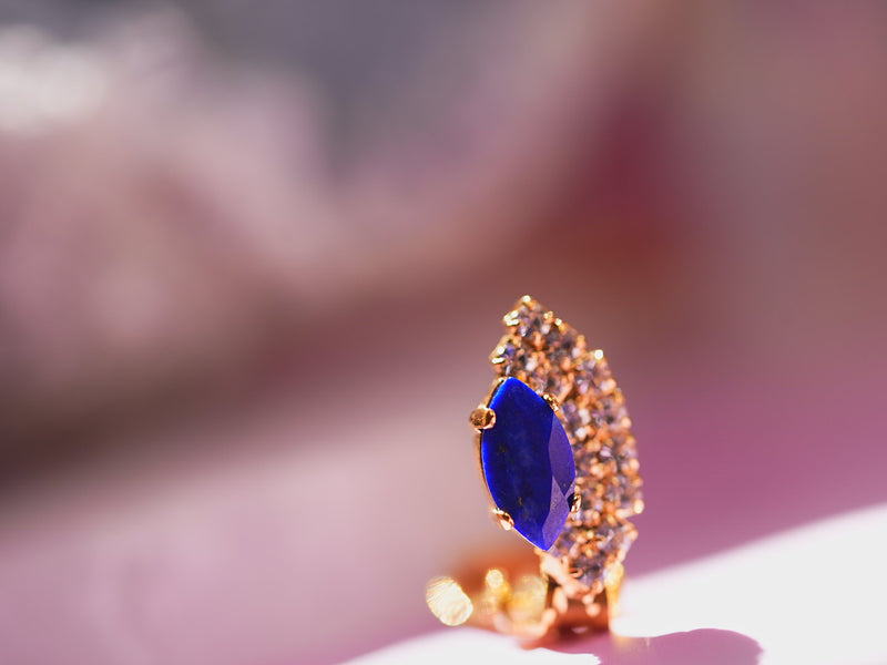 【12月誕生石】ラピスラズリ　孔雀イヤリング【Lapis Lazuli /Peacock Earrings】